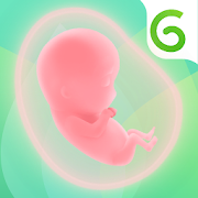 GLOW. Pregnancy Baby Tracker   Baby Registry App