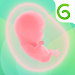 Glow Nurture Pregnancy Tracker APK