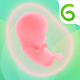 GLOW. Pregnancy & Baby Tracker + Baby Registry App Laai af op Windows
