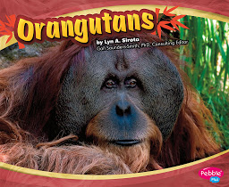 Icon image Orangutans