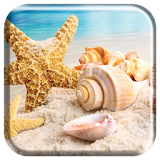 Sea Shells Live Wallpaper icon