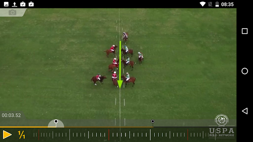 Polo Umpire screenshot 4