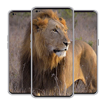 Cover Image of Download Lion Wallpaper 1.0 APK