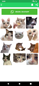 Stickers de gatos graciosos