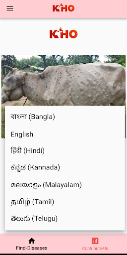 Kho AI Cattle Management Screen 2