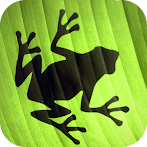 Jumping Frog Strategy