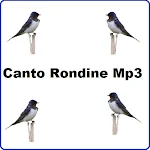 Cover Image of Download Canto Rondine  APK