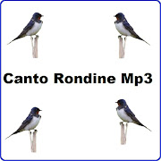Canto Rondine