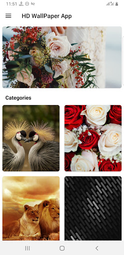 HD Wallpaper - HD Wallpapers B