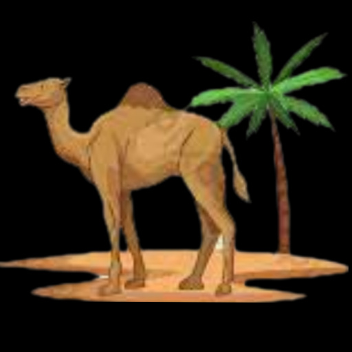 Merzougaonline logo