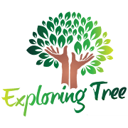 Top 40 Education Apps Like Exploring Tree Macarthur Early Learning Centre - Best Alternatives