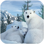 Cover Image of Télécharger Survie de la famille des ours polaires  APK