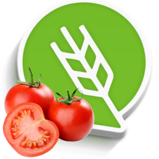 टोमॅटो लागवड #Agrownet™ logo