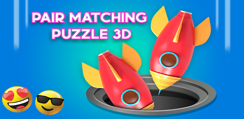 Matching  Pair Puzzle 3D