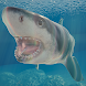 恐怖のサメ育成 - Androidアプリ