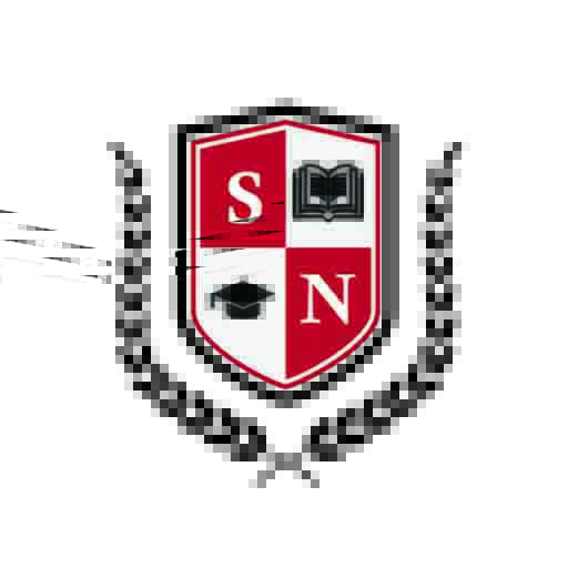 SNC Analytics logo