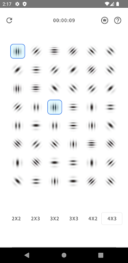 ガボールパッチ Screen 3
