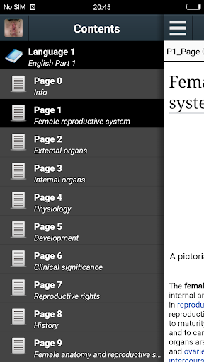 Female reproductive system