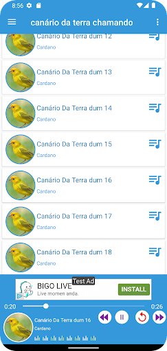 Canário Da Terra Chamando Screen 3
