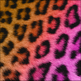 Pretty Cheetah Keyboard Skin icon