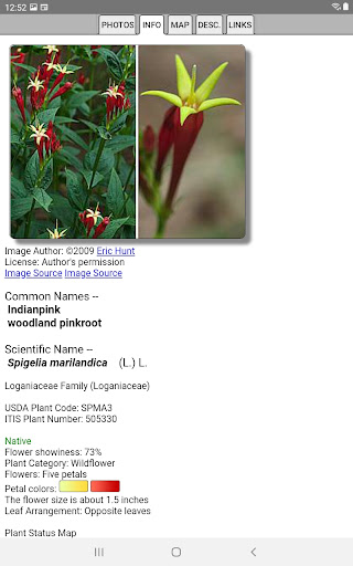 Tennessee Wildflowers