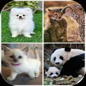 Animals Quiz guess the animal