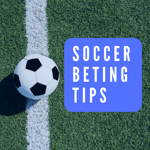 beting tips for xbet