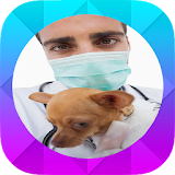 How to Prevent Dog Cancer icon