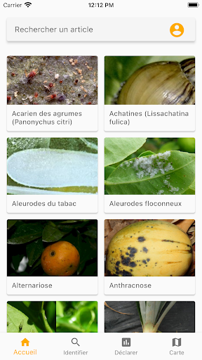 Tropifruits Screen 2