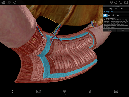 Snímek obrazovky Fyziologie a patologie