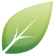 Shiny Leaf - Beauty & Wellness