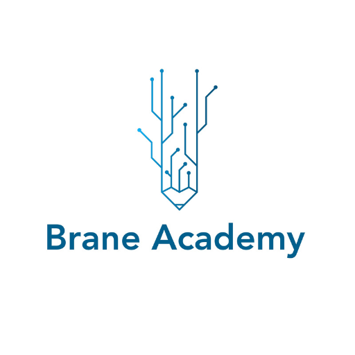 Brane Academy logo