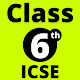 Class 6 ICSE Solutions, Books