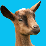 Buttermilk - The Bouncing Goat icon
