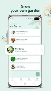 Blossom – Plant Identification app 5
