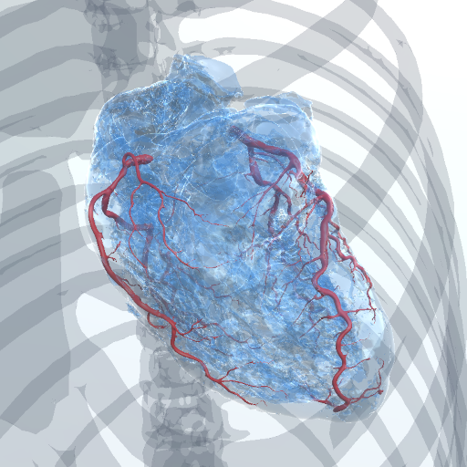 Coronary Quest ดาวน์โหลดบน Windows