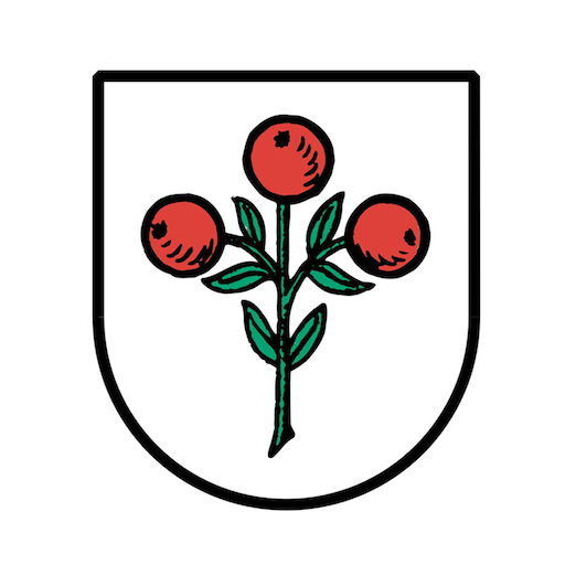 Schwarzach App logo