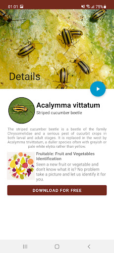 Insects Species Identifier Screen 2