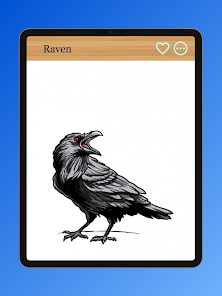 Screenshot 23 Cómo dibujar aves rapaces android
