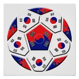 한국 축구 icon