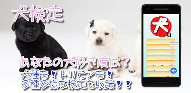 犬のゲーム 無料 犬 言葉が知りたい 犬の気持ち 雑学クイズ Apps En Google Play