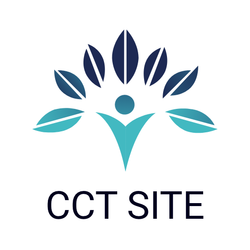 CCT Intelligent Site - Google Play 앱