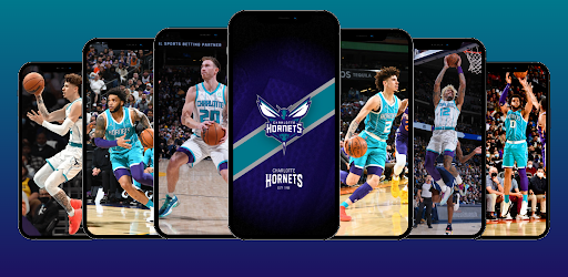 Android application Charlotte Hornets Wallpapers screenshort