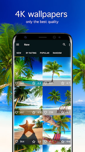 Screenshot of Tropical Wallpapers 4K