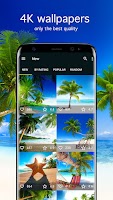 screenshot of Tropical Wallpapers 4K