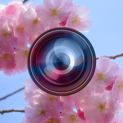 Haru Camera - Spring and Valen Laai af op Windows