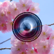 春カメラ (Haru Camera) - バレンタインと春 - Androidアプリ