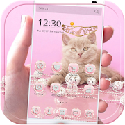 Pink Kitty Theme Rose Gold Kitty 10003000 Icon