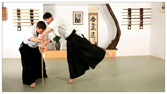 Học aikido và võ thuật