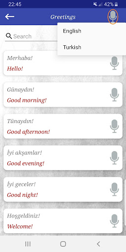Daily Practical Turkish Screen 3